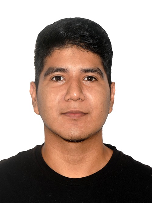 perfil